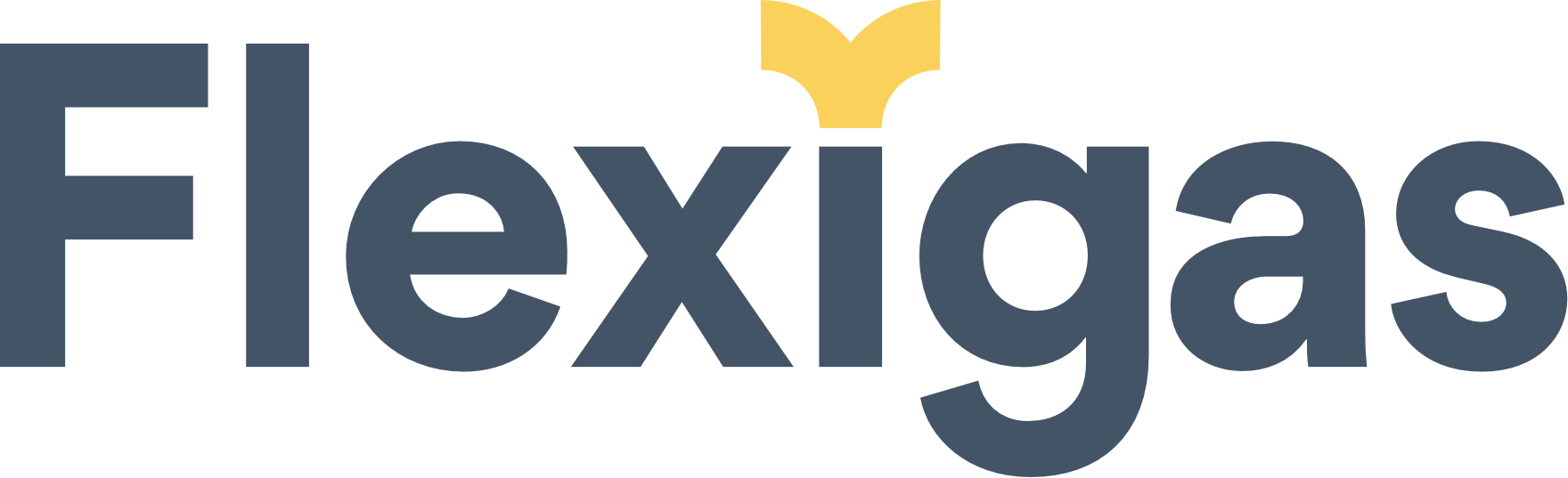 Flexigas